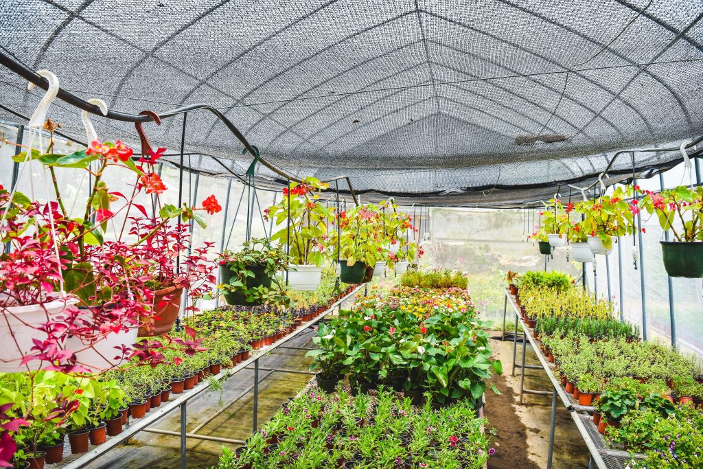 Top Benefits of a Greenhouse